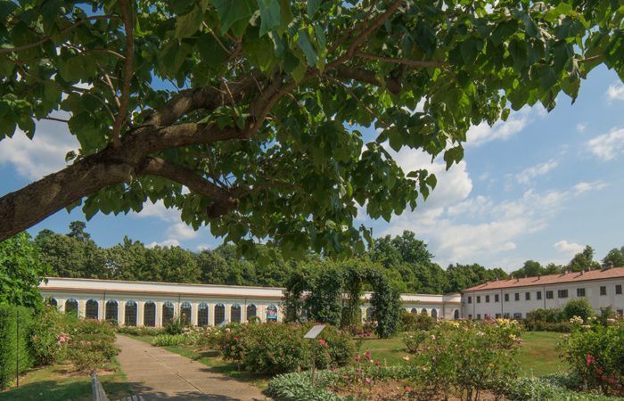 Il Serrone della Villa Reale ospiterà la Biennale Giovani Monza 2017