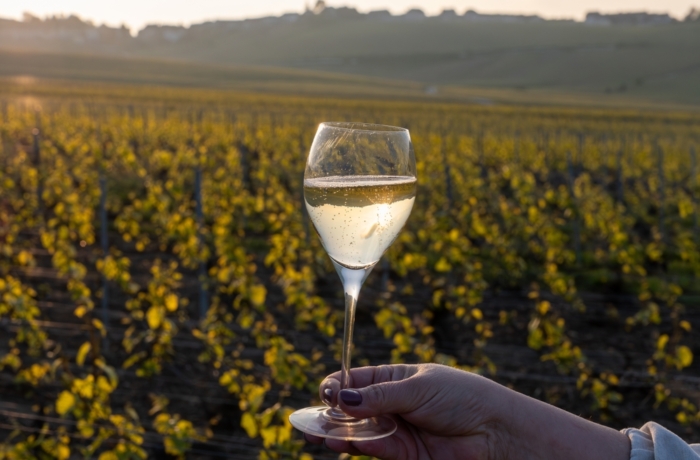 degustazioni-vino-franciacorta-hotel-de-la-ville-monza