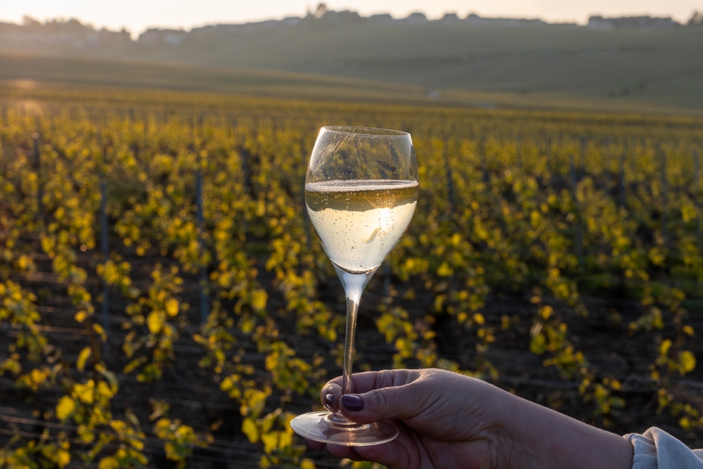 Degustazione vini in Franciacorta: un viaggio tra bollicine, natura e cultura