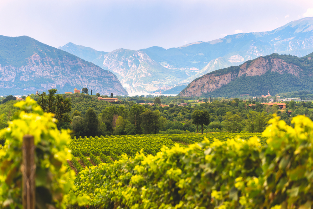 Franciacorta: alla scoperta delle migliori cantine biodinamiche e naturali