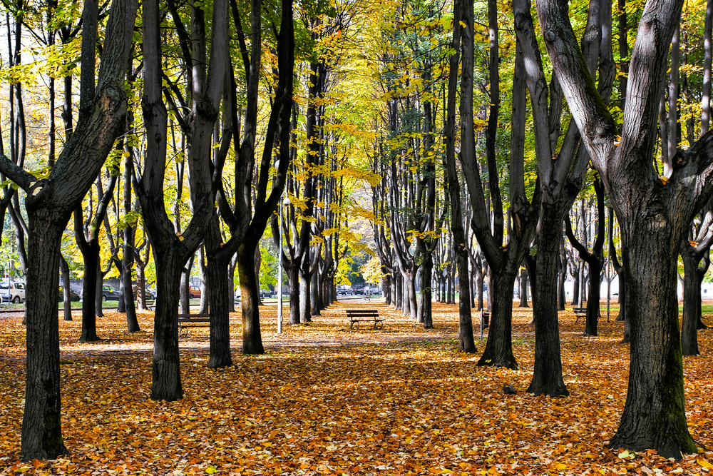parco-di-monza-itinerari-hotel-de-la-ville1